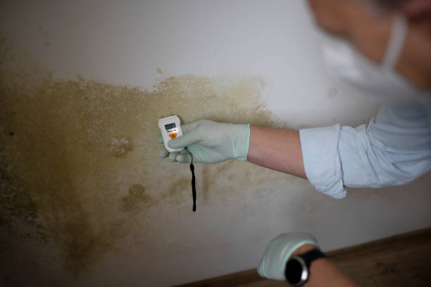 Best Asbestos and Lead Testing During Mold Inspection  in Cherryvale, KS